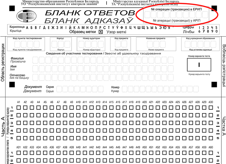 Тренировочное тестирование2018 по русскому языку 11 класс